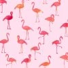 Jersey-Stoff - rosa-rot - Flamingo - 160 cm breit -Heimtextilien Verkäufe 2327020007 1600Wx1600H