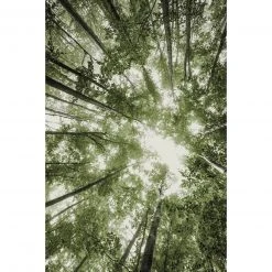 Frisee-Teppich - grün - 80x150 cm