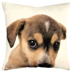 Deko Kissen Tierkinder 25x25 cm - Kuscheliges Sofakissen mit Tierdesign -Heimtextilien Verkäufe 2688028100 02 1600Wx1600H