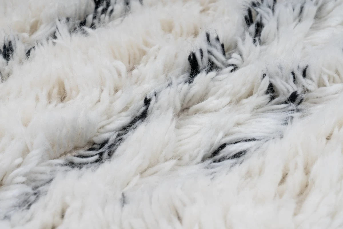 Teppich CASABLANCA 110 - natur-elfenbein - 120x170 cm | Hochwertiger Langflorteppich 5 Teppich CASABLANCA 110 - natur-elfenbein - 120x170 cm | Hochwertiger Langflorteppich – Bild 3