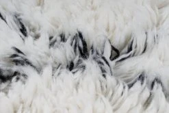 Teppich CASABLANCA 120 - Natur-Elfenbein - 120x170 cm - Elegante Langflorteppiche für Ihr Zuhause 8 Teppich CASABLANCA 120 - Natur-Elfenbein - 120x170 cm - Elegante Langflorteppiche für Ihr Zuhause -Heimtextilien Verkäufe 9003631400 03 1600Wx1600H