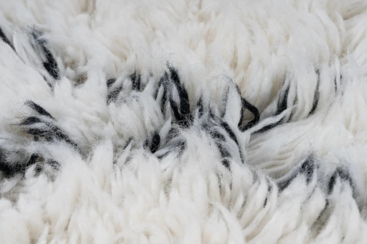 Teppich CASABLANCA 120 - Natur-Elfenbein - 120x170 cm - Elegante Langflorteppiche für Ihr Zuhause 5 Teppich CASABLANCA 120 - Natur-Elfenbein - 120x170 cm - Elegante Langflorteppiche für Ihr Zuhause – Bild 3