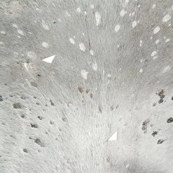 Lederteppich FLY 100 - grau-silber - 1,35-1,65m² - Hochwertiger Lederteppich für stilvolles Wohnen -Heimtextilien Verkäufe 9004712300 03 1600Wx1600H