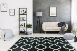 Schwarz-Creme Kurzflorteppich 80x150 cm - Modern & Stilvoll 9 Schwarz-Creme Kurzflorteppich 80x150 cm - Modern & Stilvoll -Heimtextilien Verkäufe 9004730500 04 1600Wx1600H