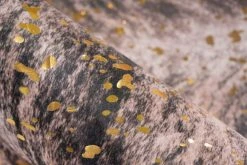 Teppich WESTERN 200 - gold-dunkelbraun - 130x170 cm | Kunstfelle/Teppiche & Läufer 8 Teppich WESTERN 200 - gold-dunkelbraun - 130x170 cm | Kunstfelle/Teppiche & Läufer -Heimtextilien Verkäufe 9004736300 03 1600Wx1600H