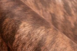 Teppich WESTERN 600 - hellbraun - 130x170 cm - Kunstfelle für stilvolle Räume 8 Teppich WESTERN 600 - hellbraun - 130x170 cm - Kunstfelle für stilvolle Räume -Heimtextilien Verkäufe 9004737100 03 1600Wx1600H