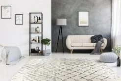 Teppich Sally 500 - Elfenbein-Schwarz-Grau - 160 x 230 cm - Hochwertiger Kurzflorteppich 9 Teppich Sally 500 - Elfenbein-Schwarz-Grau - 160 x 230 cm - Hochwertiger Kurzflorteppich -Heimtextilien Verkäufe 9004737800 04 1600Wx1600H