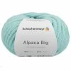 Handstrickgarn ALPACA BIG - Mint - 100g | Weiches Strickgarn aus Alpaka | Häkeln & Stricken 2 Handstrickgarn ALPACA BIG - Mint - 100g | Weiches Strickgarn aus Alpaka | Häkeln & Stricken -Heimtextilien Verkäufe 9004746000 1600Wx1600H