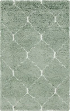 Teppich TEMARA SHAG 5 - hellgrün - 244x152 cm | Luxuriöser Langflorteppich für Zuhause